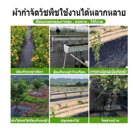 ðĨāļāļĢāđāļāļĄāļŠāđāļðĨāļāļĨāļēāļŠāļāļīāļāļāļĨāļļāļĄāļāļīāļ āļāđāļēāļāļĨāļļāļĄāļŦāļāđāļē āļāļĨāļēāļŠāļāļīāļāļāļĨāļļāļĄāļ§āļąāļāļāļ·āļ āļāļģāļāļąāļāļ§āļąāļāļāļ·āļ āļŠāđāļĨāļ āļāđāļēāļāļĨāļļāļĄāļ§āļąāļāļāļ·āļ āļāļĨāļēāļŠāļāļīāļāđāļāļĢāļāļŠāđāļāļāļāļ āļāļŠāļĄUV āļāđāļēāļŦāļāđāļē