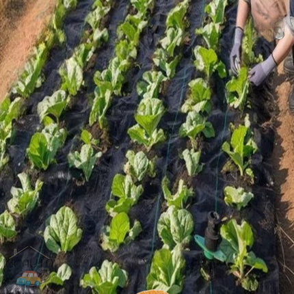 ðĨāļāļĢāđāļāļĄāļŠāđāļðĨāļāļĨāļēāļŠāļāļīāļāļāļĨāļļāļĄāļāļīāļ āļāđāļēāļāļĨāļļāļĄāļŦāļāđāļē āļāļĨāļēāļŠāļāļīāļāļāļĨāļļāļĄāļ§āļąāļāļāļ·āļ āļāļģāļāļąāļāļ§āļąāļāļāļ·āļ āļŠāđāļĨāļ āļāđāļēāļāļĨāļļāļĄāļ§āļąāļāļāļ·āļ āļāļĨāļēāļŠāļāļīāļāđāļāļĢāļāļŠāđāļāļāļāļ āļāļŠāļĄUV āļāđāļēāļŦāļāđāļē