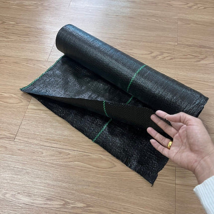 ðĨāļāļĢāđāļāļĄāļŠāđāļðĨāļāļĨāļēāļŠāļāļīāļāļāļĨāļļāļĄāļāļīāļ āļāđāļēāļāļĨāļļāļĄāļŦāļāđāļē āļāļĨāļēāļŠāļāļīāļāļāļĨāļļāļĄāļ§āļąāļāļāļ·āļ āļāļģāļāļąāļāļ§āļąāļāļāļ·āļ āļŠāđāļĨāļ āļāđāļēāļāļĨāļļāļĄāļ§āļąāļāļāļ·āļ āļāļĨāļēāļŠāļāļīāļāđāļāļĢāļāļŠāđāļāļāļāļ āļāļŠāļĄUV āļāđāļēāļŦāļāđāļē