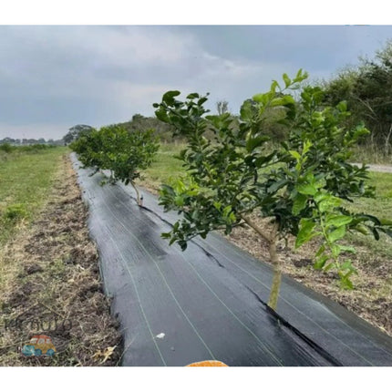 ðĨāļāļĢāđāļāļĄāļŠāđāļðĨāļāļĨāļēāļŠāļāļīāļāļāļĨāļļāļĄāļāļīāļ āļāđāļēāļāļĨāļļāļĄāļŦāļāđāļē āļāļĨāļēāļŠāļāļīāļāļāļĨāļļāļĄāļ§āļąāļāļāļ·āļ āļāļģāļāļąāļāļ§āļąāļāļāļ·āļ āļŠāđāļĨāļ āļāđāļēāļāļĨāļļāļĄāļ§āļąāļāļāļ·āļ āļāļĨāļēāļŠāļāļīāļāđāļāļĢāļāļŠāđāļāļāļāļ āļāļŠāļĄUV āļāđāļēāļŦāļāđāļē