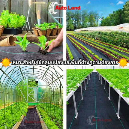 ðĨāļāļĢāđāļāļĄāļŠāđāļðĨāļāļĨāļēāļŠāļāļīāļāļāļĨāļļāļĄāļāļīāļ āļāđāļēāļāļĨāļļāļĄāļŦāļāđāļē āļāļĨāļēāļŠāļāļīāļāļāļĨāļļāļĄāļ§āļąāļāļāļ·āļ āļāļģāļāļąāļāļ§āļąāļāļāļ·āļ āļŠāđāļĨāļ āļāđāļēāļāļĨāļļāļĄāļ§āļąāļāļāļ·āļ āļāļĨāļēāļŠāļāļīāļāđāļāļĢāļāļŠāđāļāļāļāļ āļāļŠāļĄUV āļāđāļēāļŦāļāđāļē